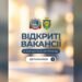 Вакансії у Борщагівській громаді: кого шукають заклади та підприємства