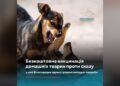 У Білогородці виявили сказ: графік безкоштовної вакцинації тварин