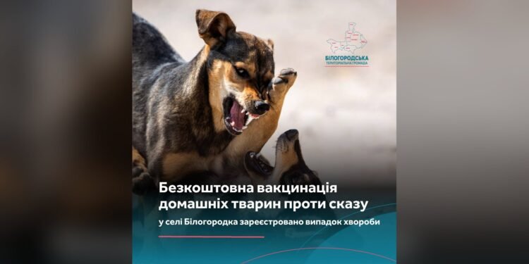 У Білогородці виявили сказ: графік безкоштовної вакцинації тварин