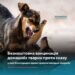 У Білогородці виявили сказ: графік безкоштовної вакцинації тварин