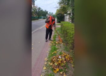 В Ірпені розпочали прибирання опалого листя та нагадали номери комунальників