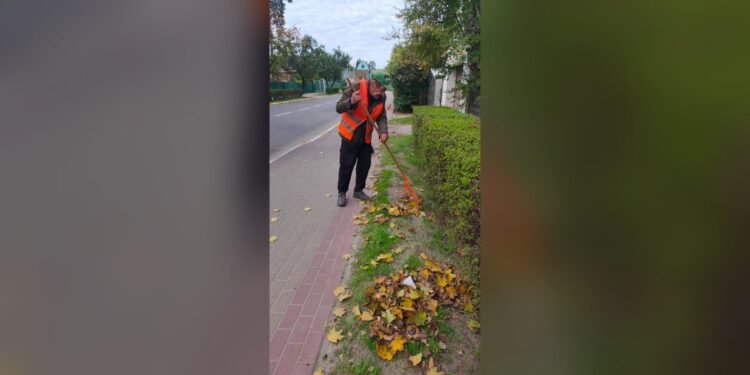 В Ірпені розпочали прибирання опалого листя та нагадали номери комунальників