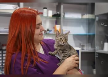 В Ірпені працює благодійна ветеринарна клініка для тварин
