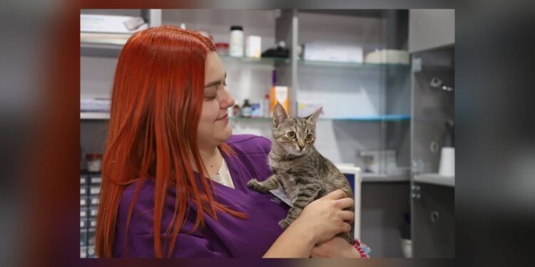 В Ірпені працює благодійна ветеринарна клініка для тварин